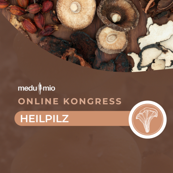Heilpilz Kongress - Erfahrungsbericht